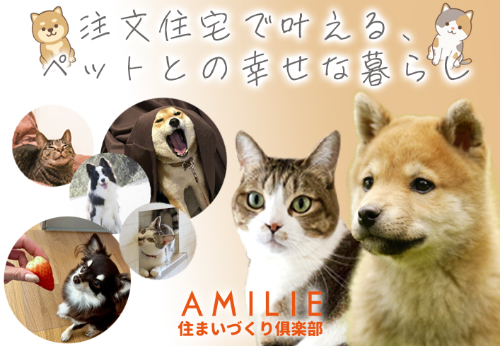 注文住宅で叶える<br>ペットとの幸せな暮らし<br>AMILIE（アミリエ）情報サイトを公開！ 写真