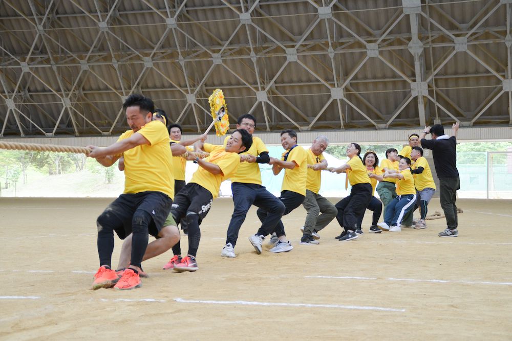 シート写真