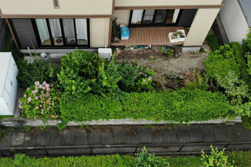 Before画像