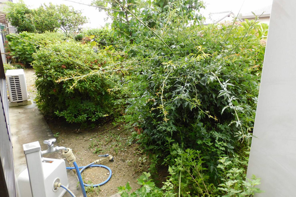 Before画像