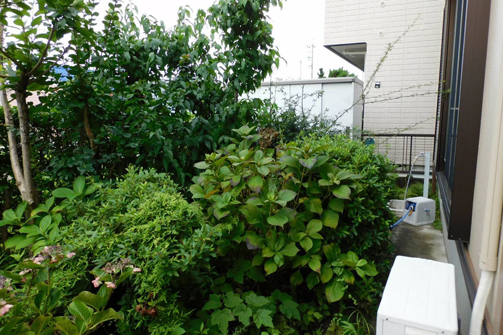 Before画像