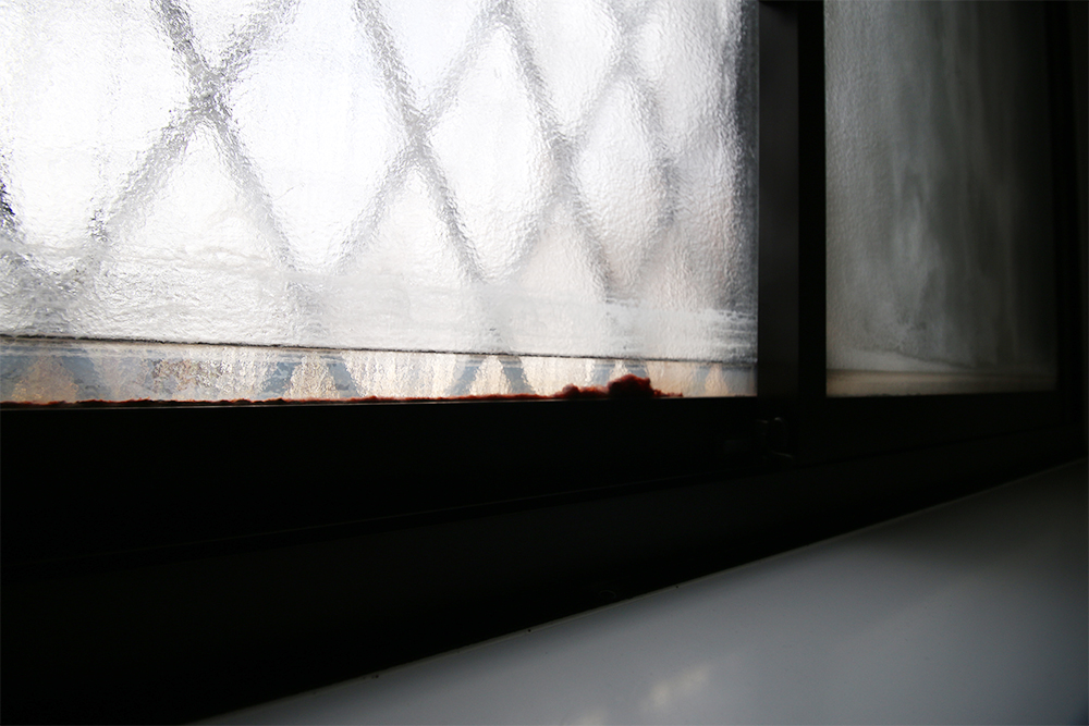 Before画像