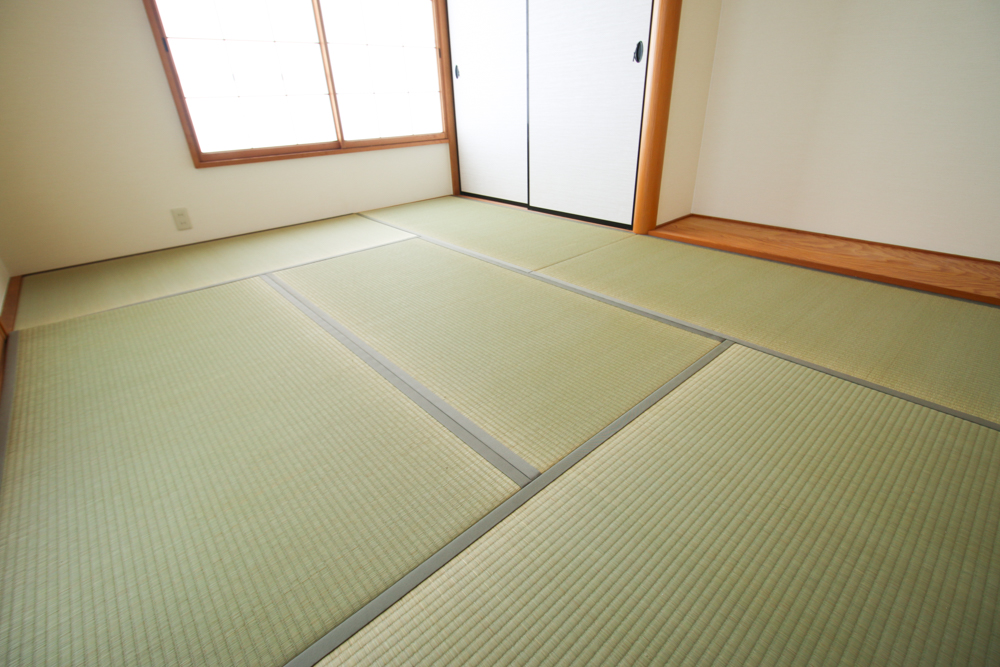 After画像