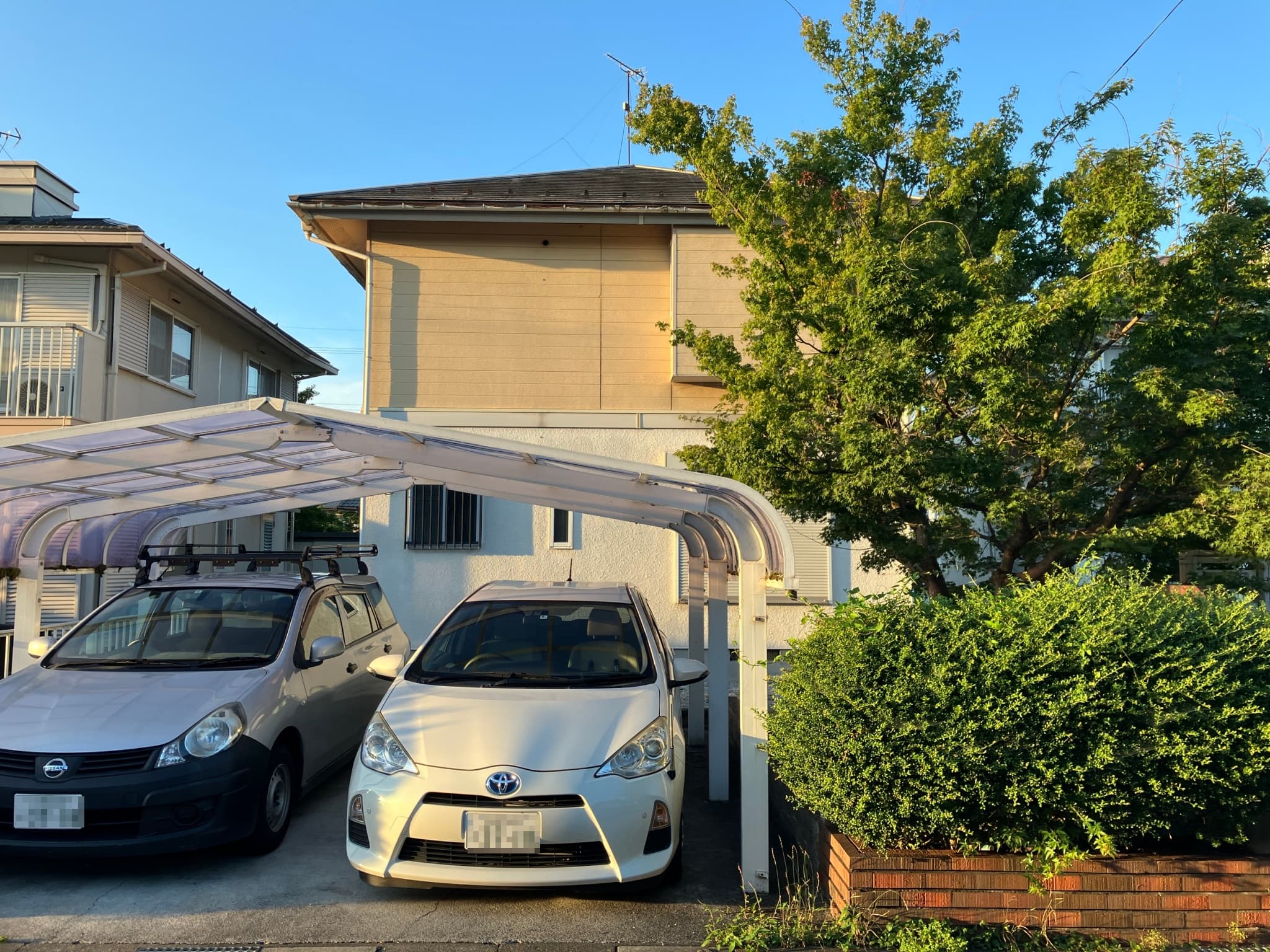 Before画像