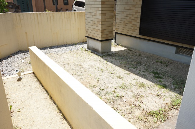 Before画像
