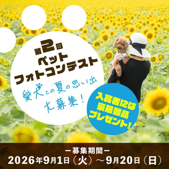 ポップアップバナー